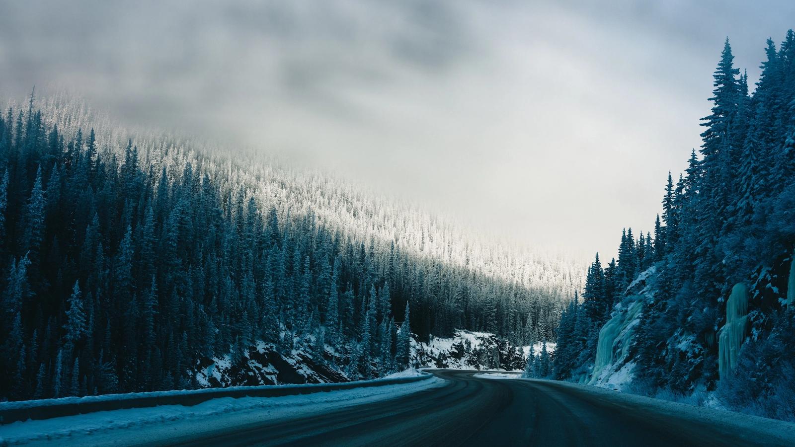 Lumen peittämä tie kaartaa huurtuneiden ikivihreiden puiden metsän läpi sumuisen taivaan alla.