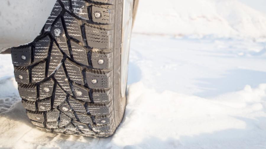 Nastarengas lumella.