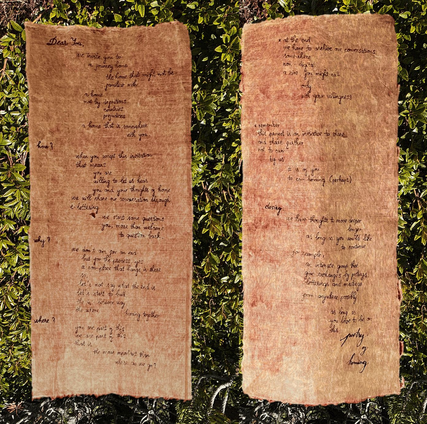 handwritten invitation in black ink on two rectangular sheets of light brown Vietnamese dó paper, resting on a shrub