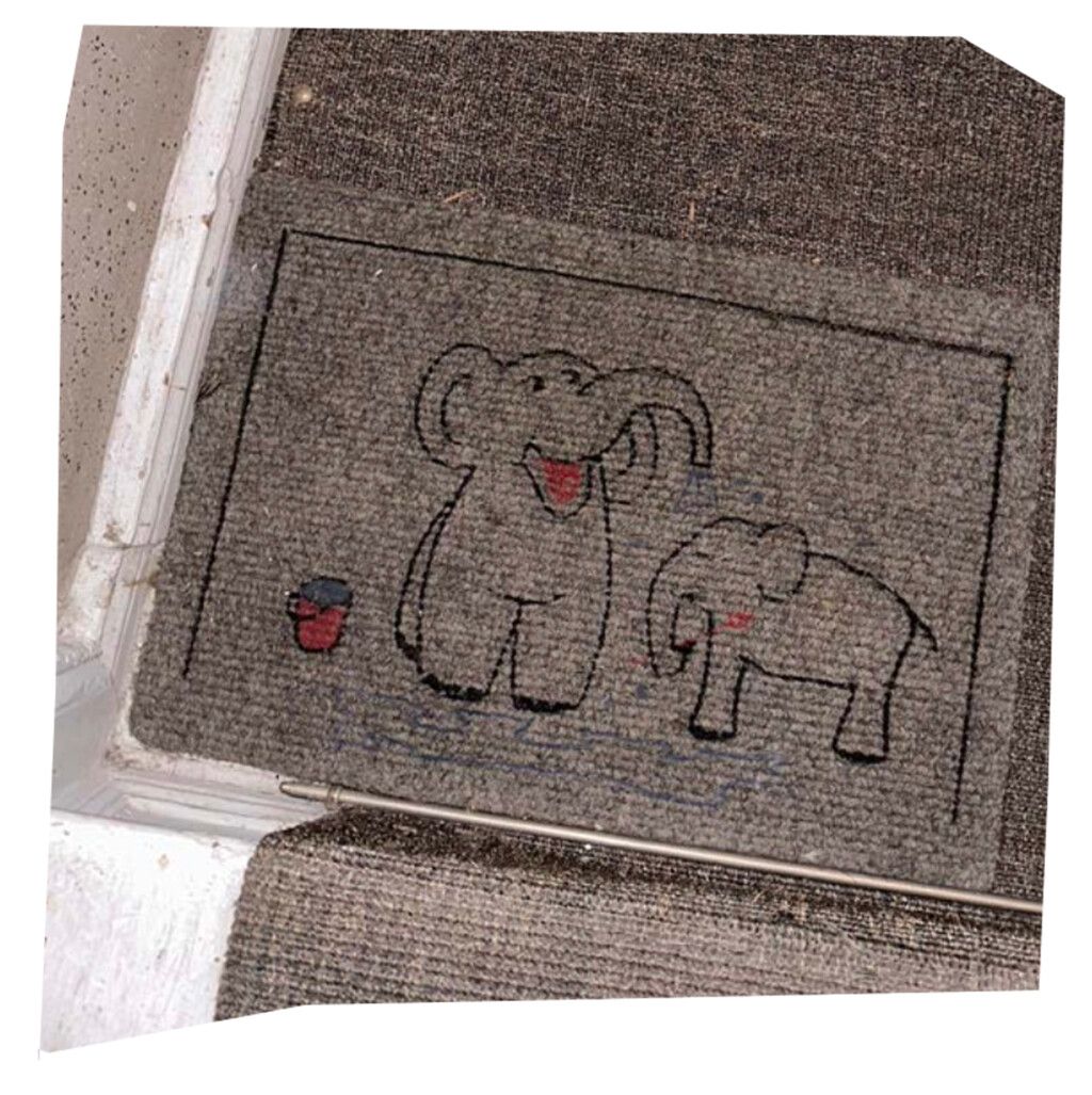 Fig. 25 Interdependence. Excerpt from Kairbekov, Bakhyt’s National Customs and Traditions: Kazakh Etiquette (2012); Fig. 26 Elephant in the room. Photograph made in Berlin. Image courtesy the2vvo (2023)