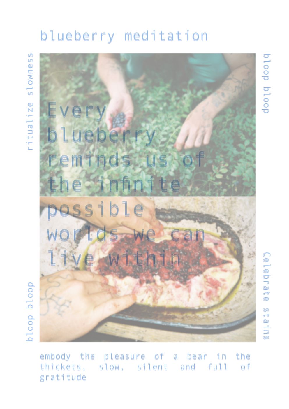 LIOS Labs Seeds for Survival at the Edge of the Desert