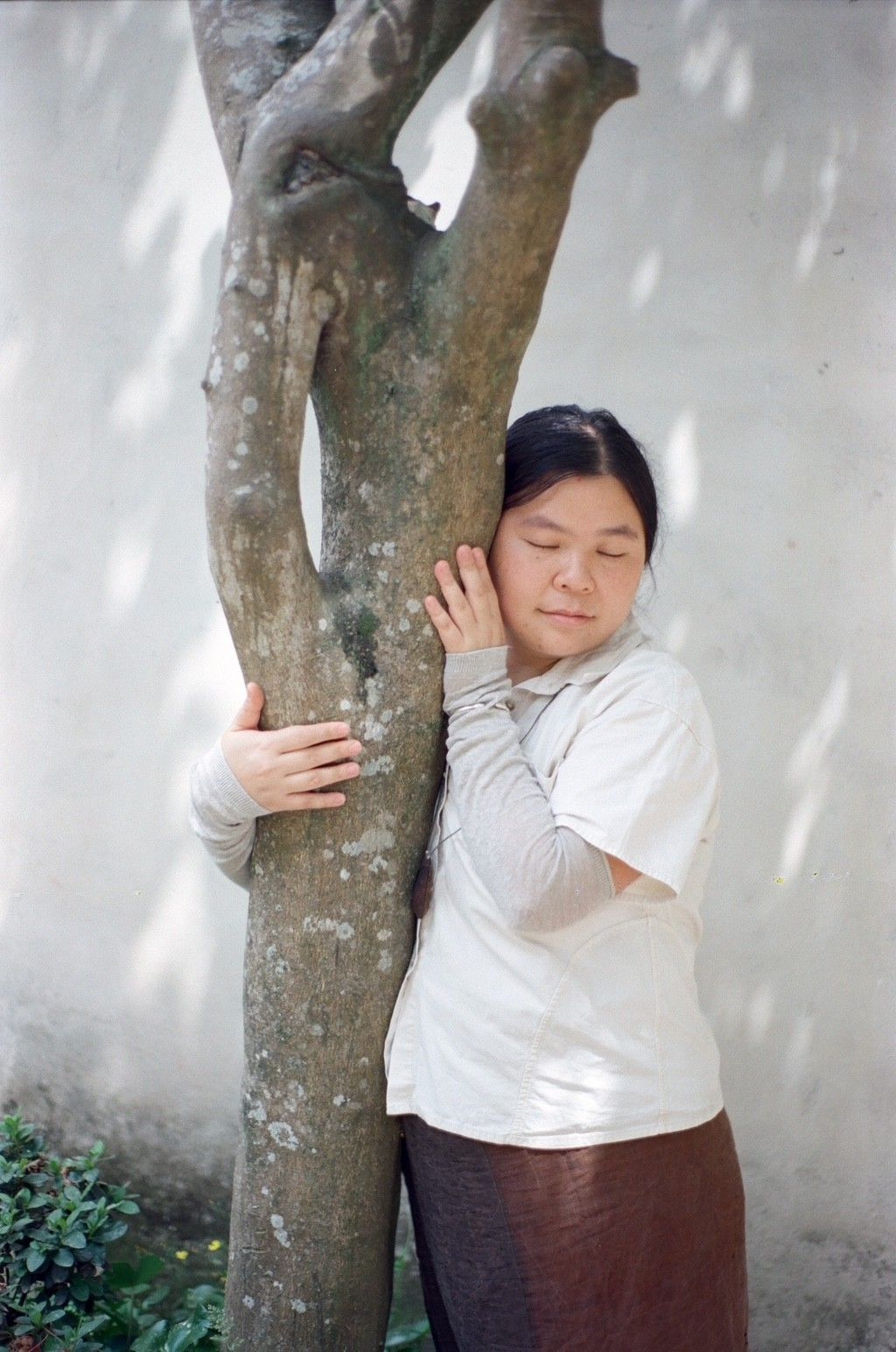 Chengwei Xia