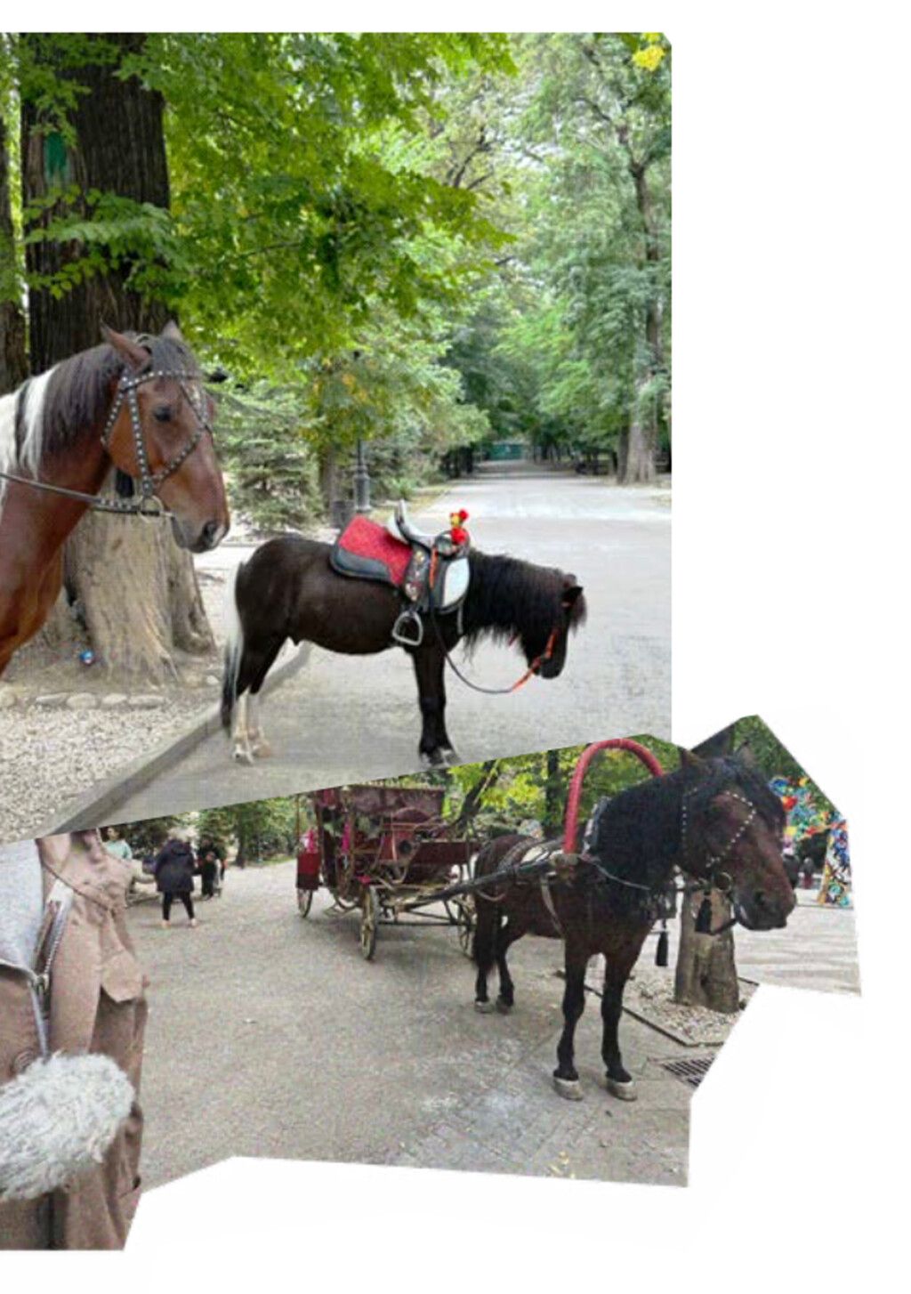 Fig. 4 The life of a horse. Gorky Park. Photographs and collage by the2vvo (2023)