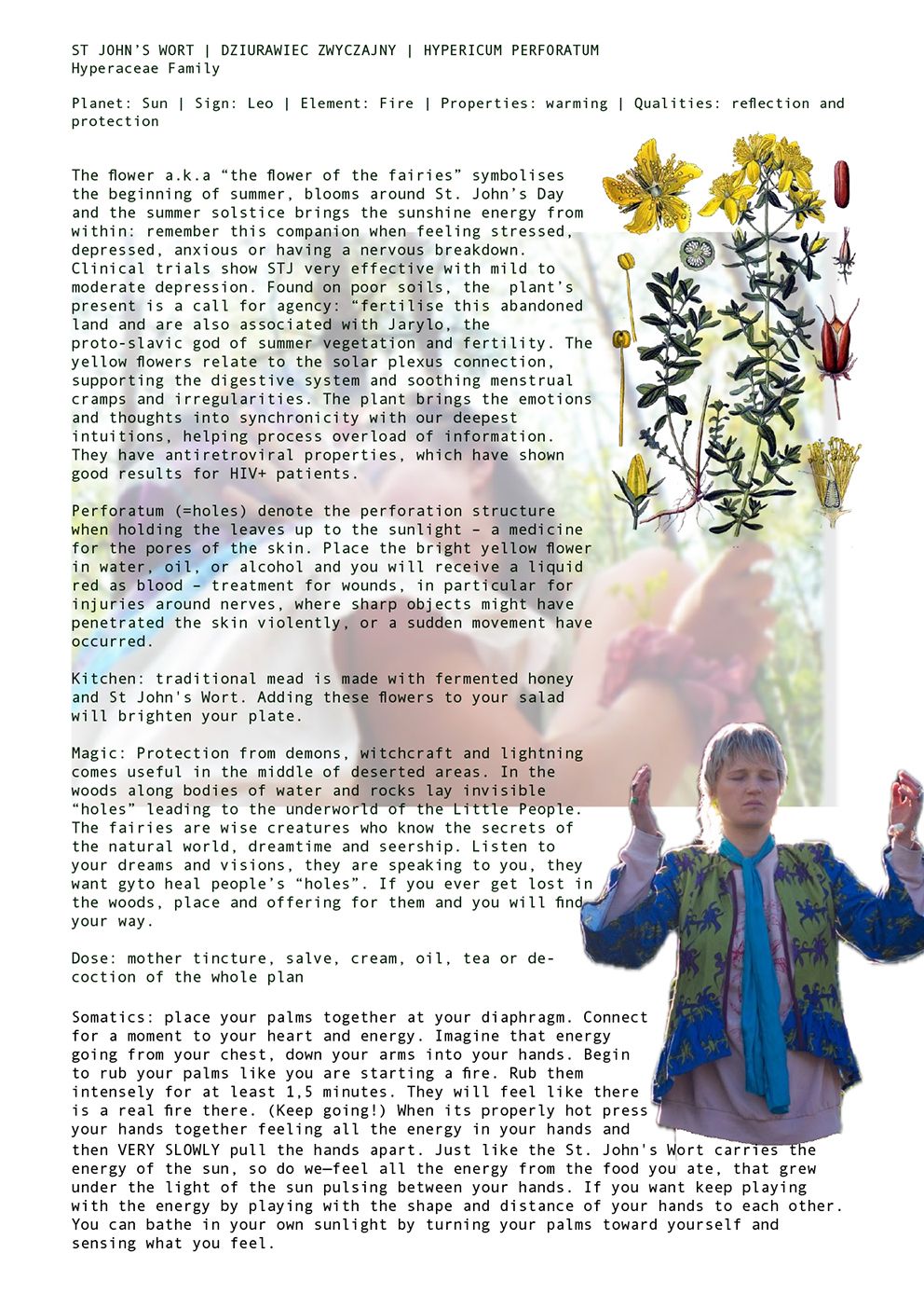 LIOS Labs Seeds for Survival at the Edge of the Desert