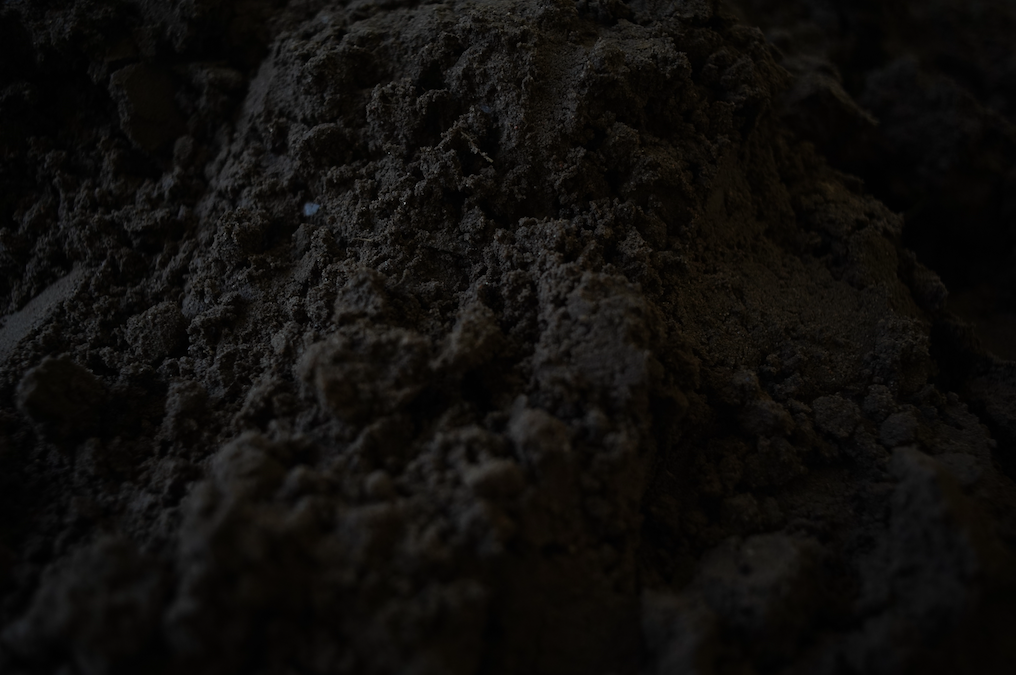 Soil, source: Insa Langhorst