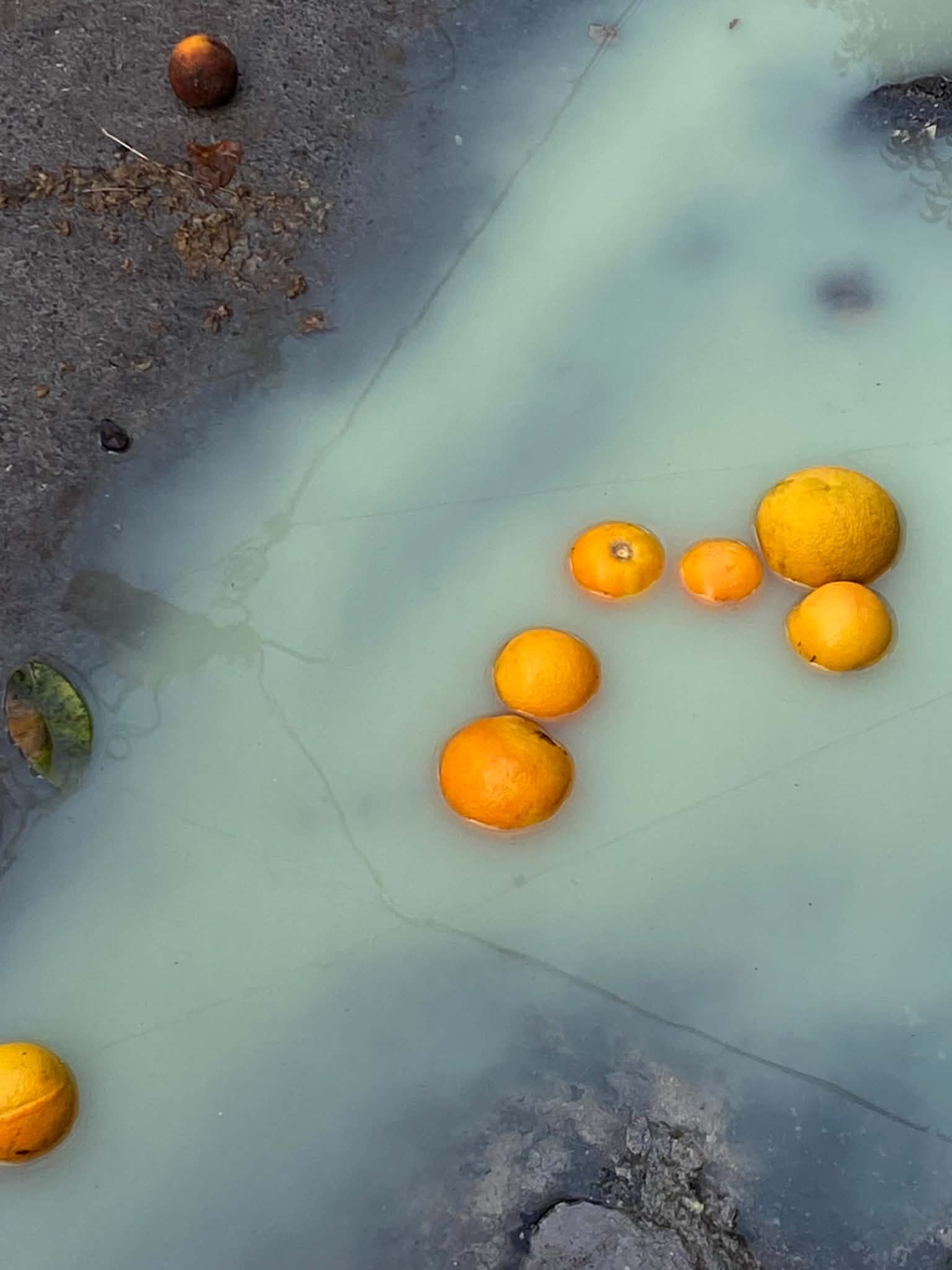 Oranges flowing in a galactic liquid. Reflections of cables in the liquid.