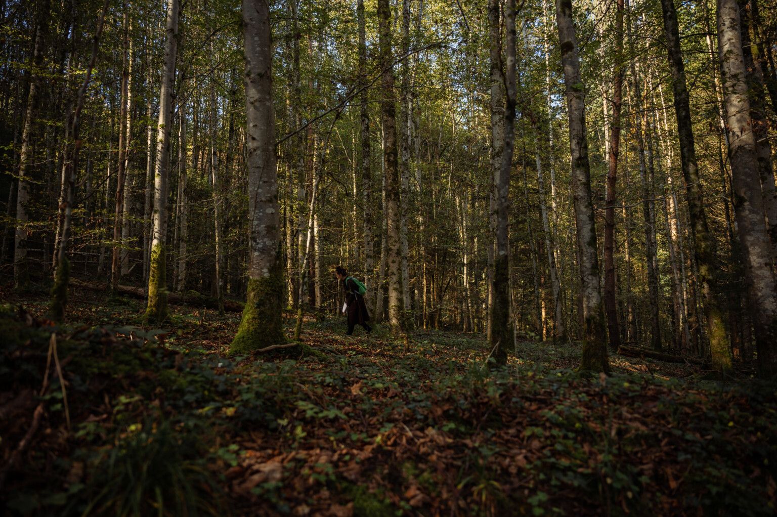  Performative Walk, From the In-Between, October 17th 2021. (Photo: Jana Figliuolo)