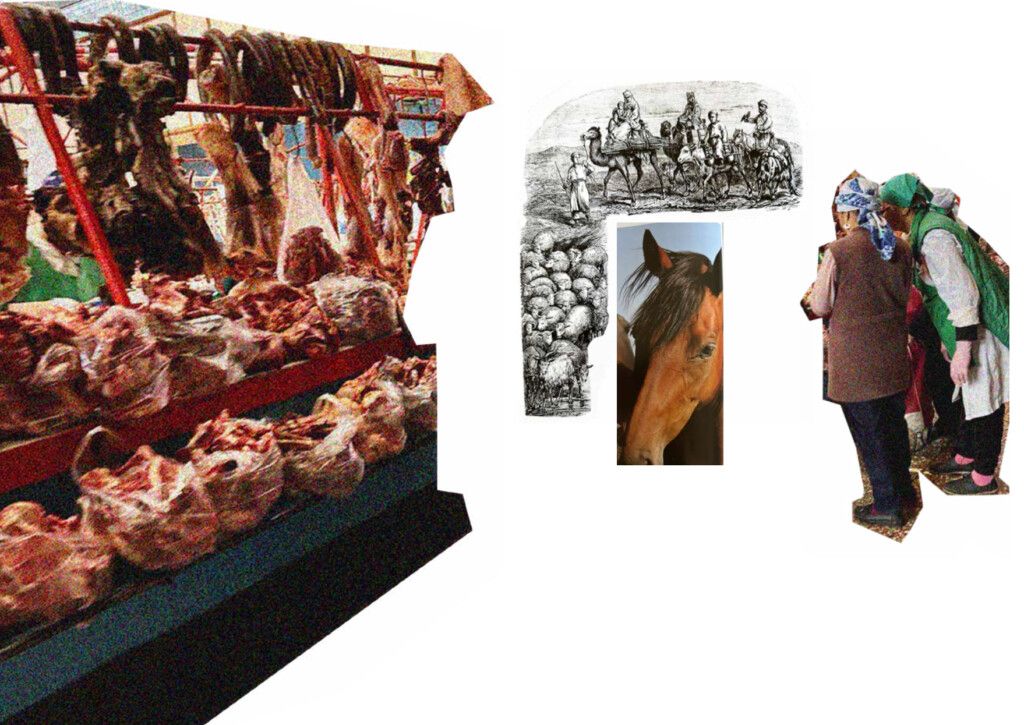 Fig. 3 A scene at the central market (women selling meat and watching TickTok) along with the collage of the horse and a drawing of migration.