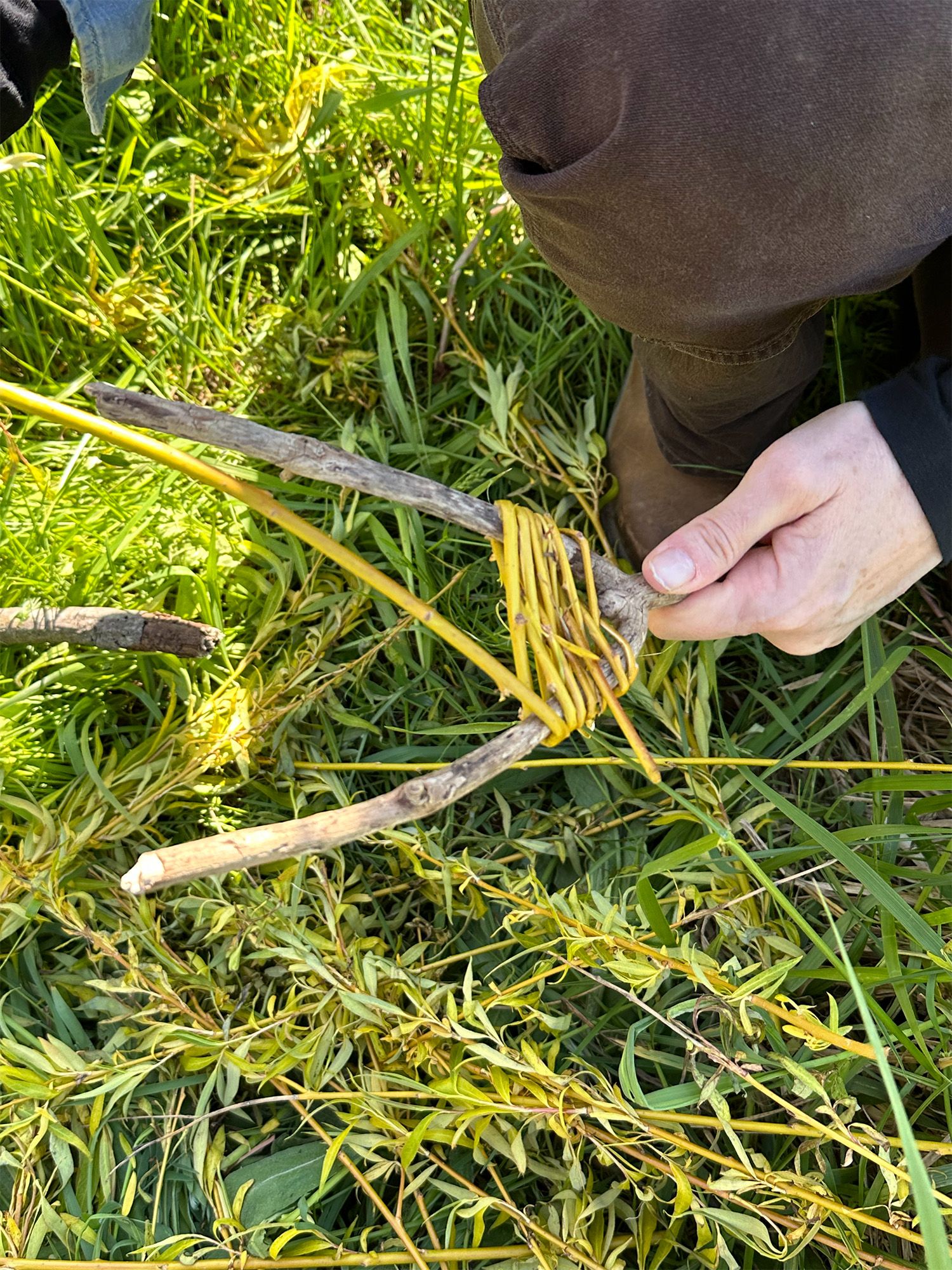 light-skinned hand grasping forked branch with woven willow stems; greenery and willow branches, with a person's brown pants and boot in the background