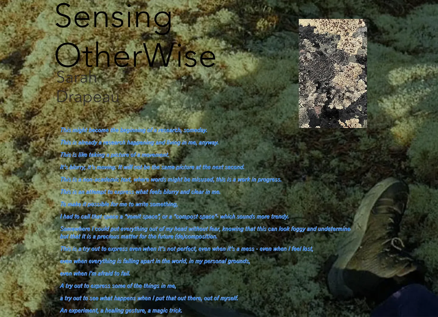 Embracing Complexity: Exploring Transdisciplinarity, Moss, and Radical Softness with Sarah Drapeau