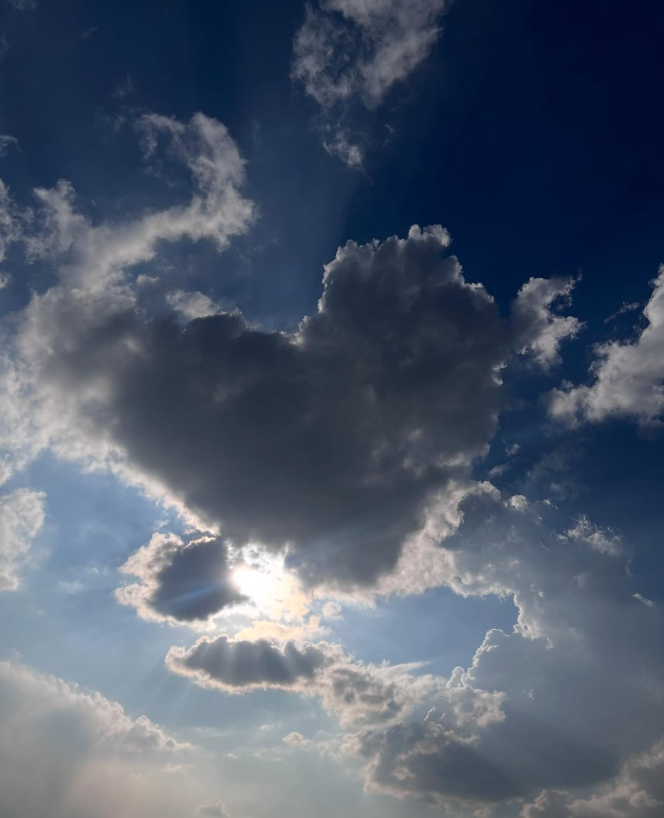 Open Sourcing Love