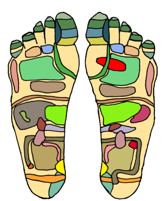  Reflexology map of the feet; source: drawn and colourized by Jimmy - enWiki, CC BY-SA 3.0, https://commons.wikimedia.org/w/index.php?curid=1210174