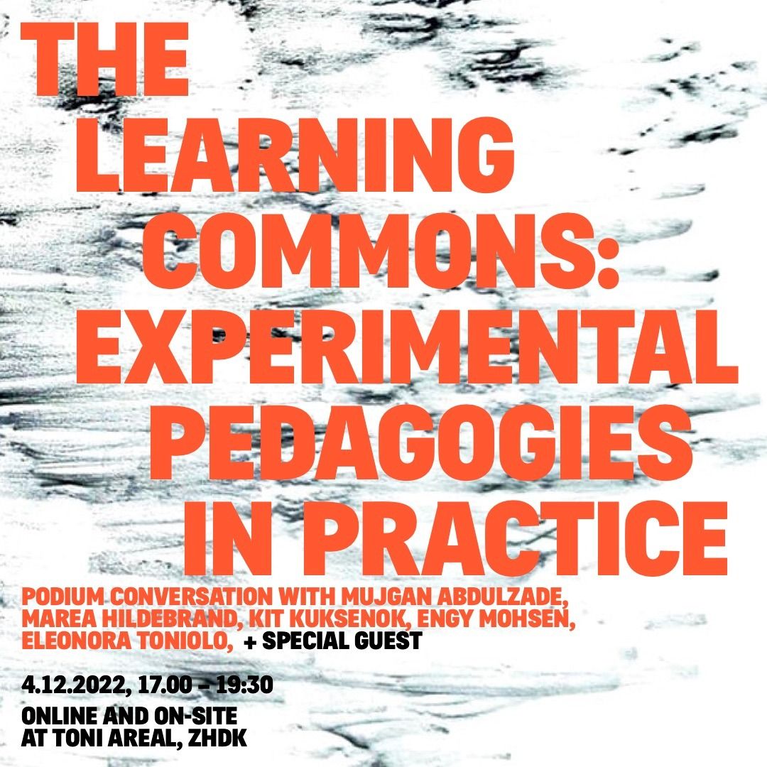 School of Commons Learning Commons: Experimental Pedagogies in Practice