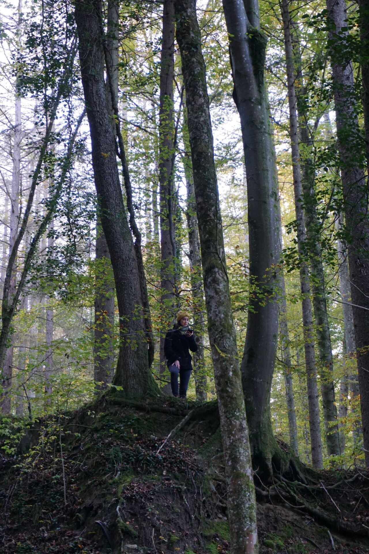 Reading Walk, Devil’s Kitchen, October 23rd 2021.