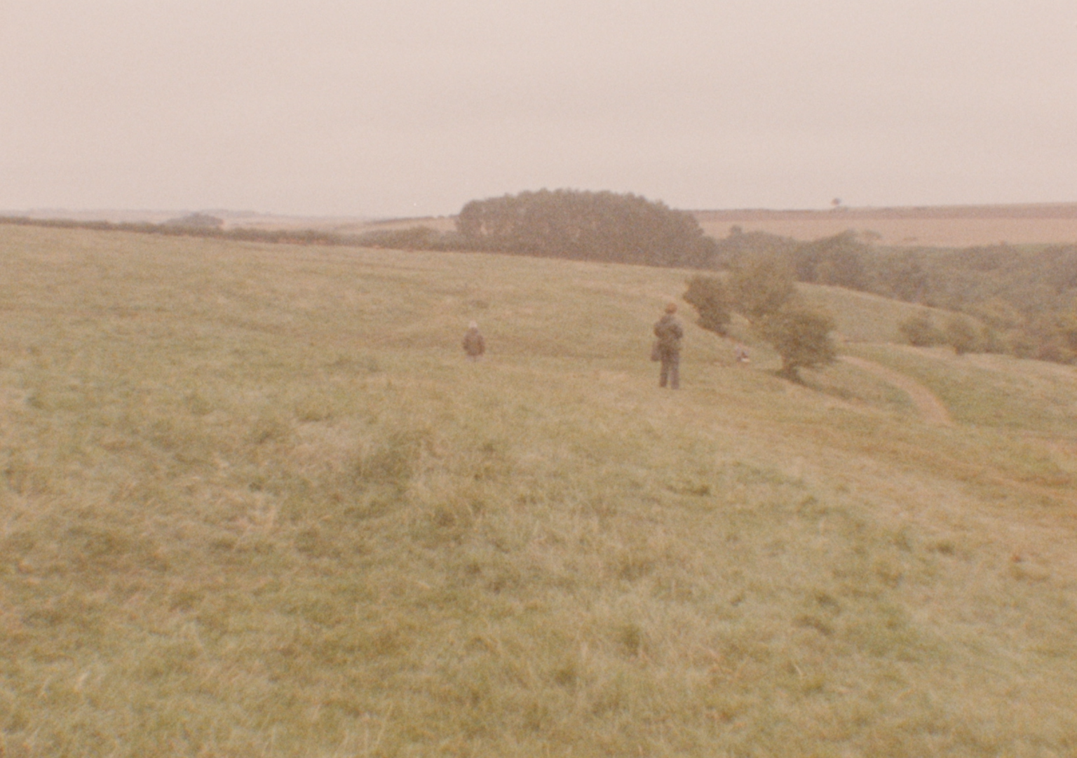 A View of the Landscape at Wharram Percy with Visitors in 2020 (After Ending, 2020)