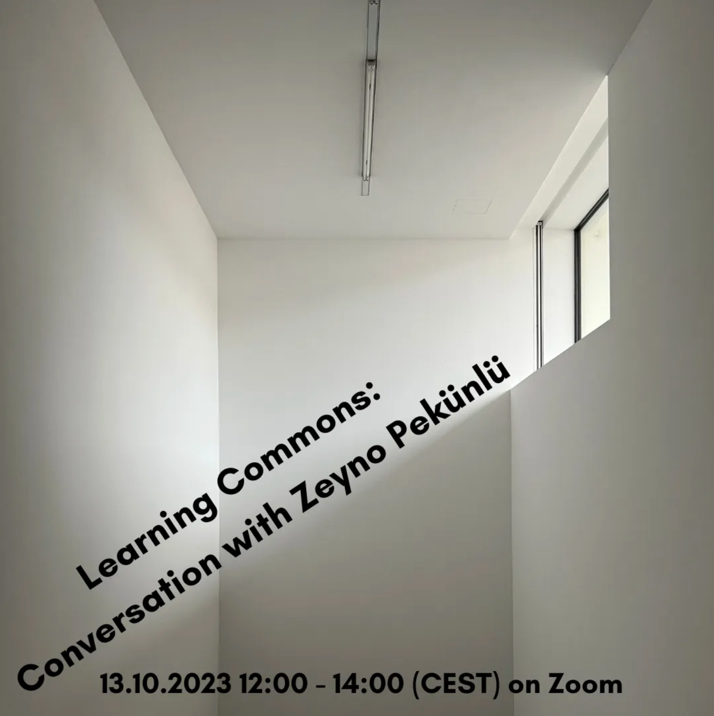 School of Commons Learning Commons: Betül Aksu in conversation with Zeyno Pekünlü