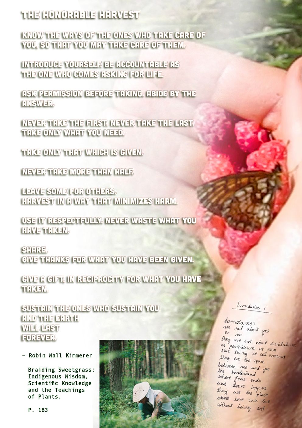 LIOS Labs Seeds for Survival at the Edge of the Desert