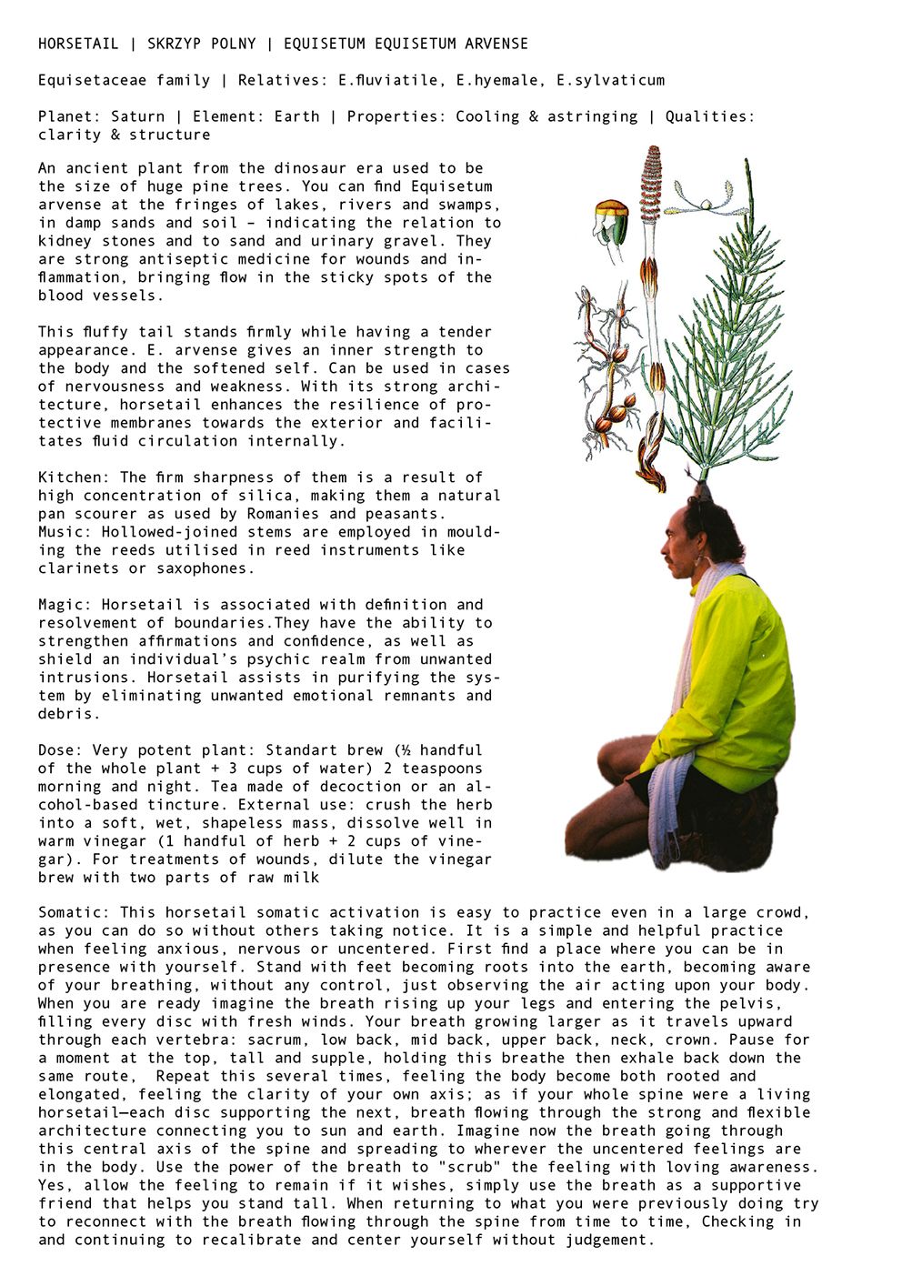 LIOS Labs Seeds for Survival at the Edge of the Desert