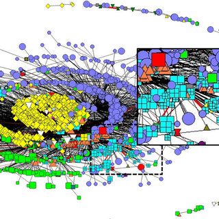 Example Network Analysis on the Digital Time Bank Community