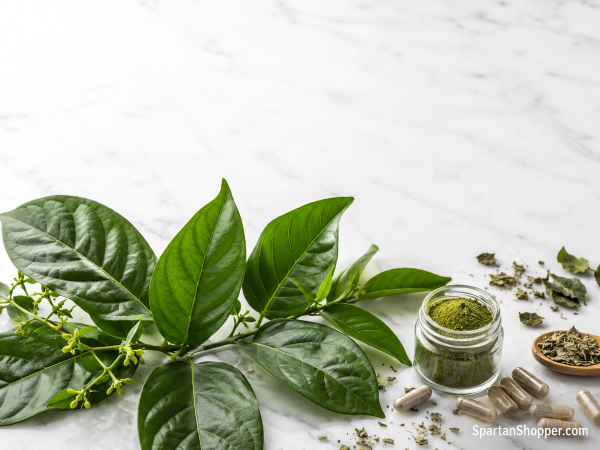 Fresh gymnema sylvestre leaves, powder, and capsules flat lay on white marble — gymnema sylvestre for blood sugar support