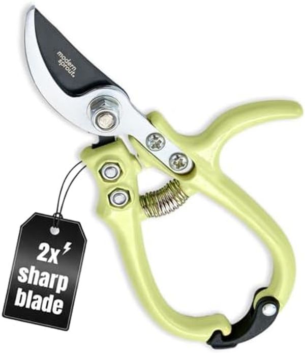 Modern Sprout Hand Pruners
