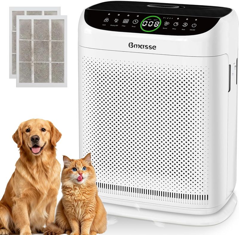 Bmasse HEPA air purifier with PM2.5 air quality monitor.