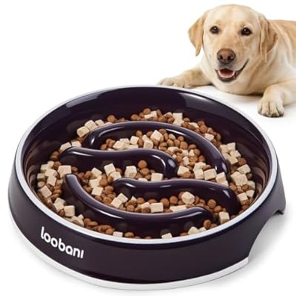 LOOBANI 20% Off — Promo Code