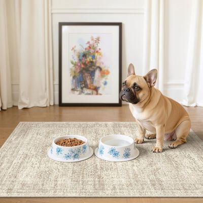 Soalmost Washable Kitchen Rug, 2x3