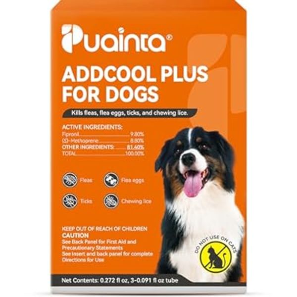 PUAINTA 25% Off — Promo Code