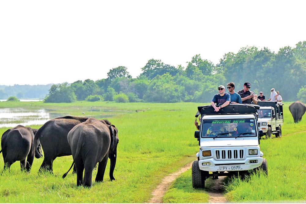 Golfer playing at Nuwara Eliya Golf Club
