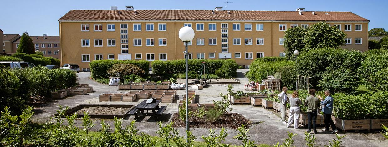 Utemområde i Misjonsmarka