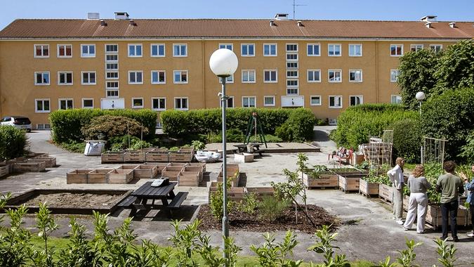 Utemområde i Misjonsmarka