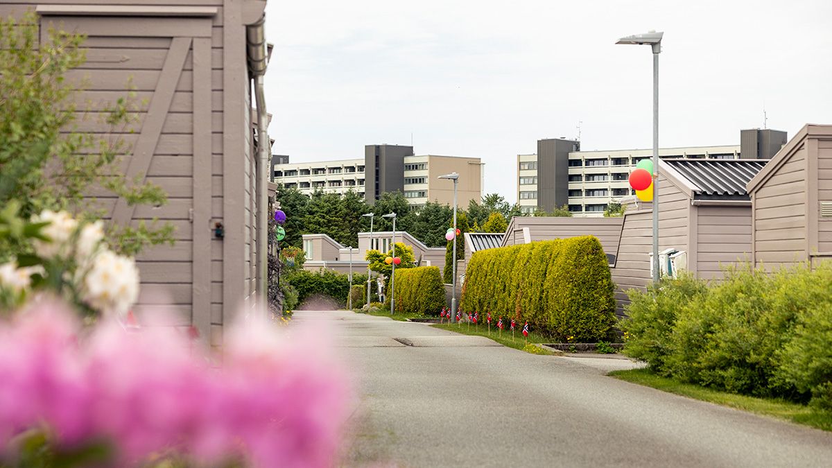 gate i haugtussa med ballonger på lyktestolper
