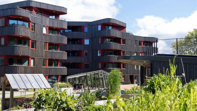 Husene i skogen på Hinna