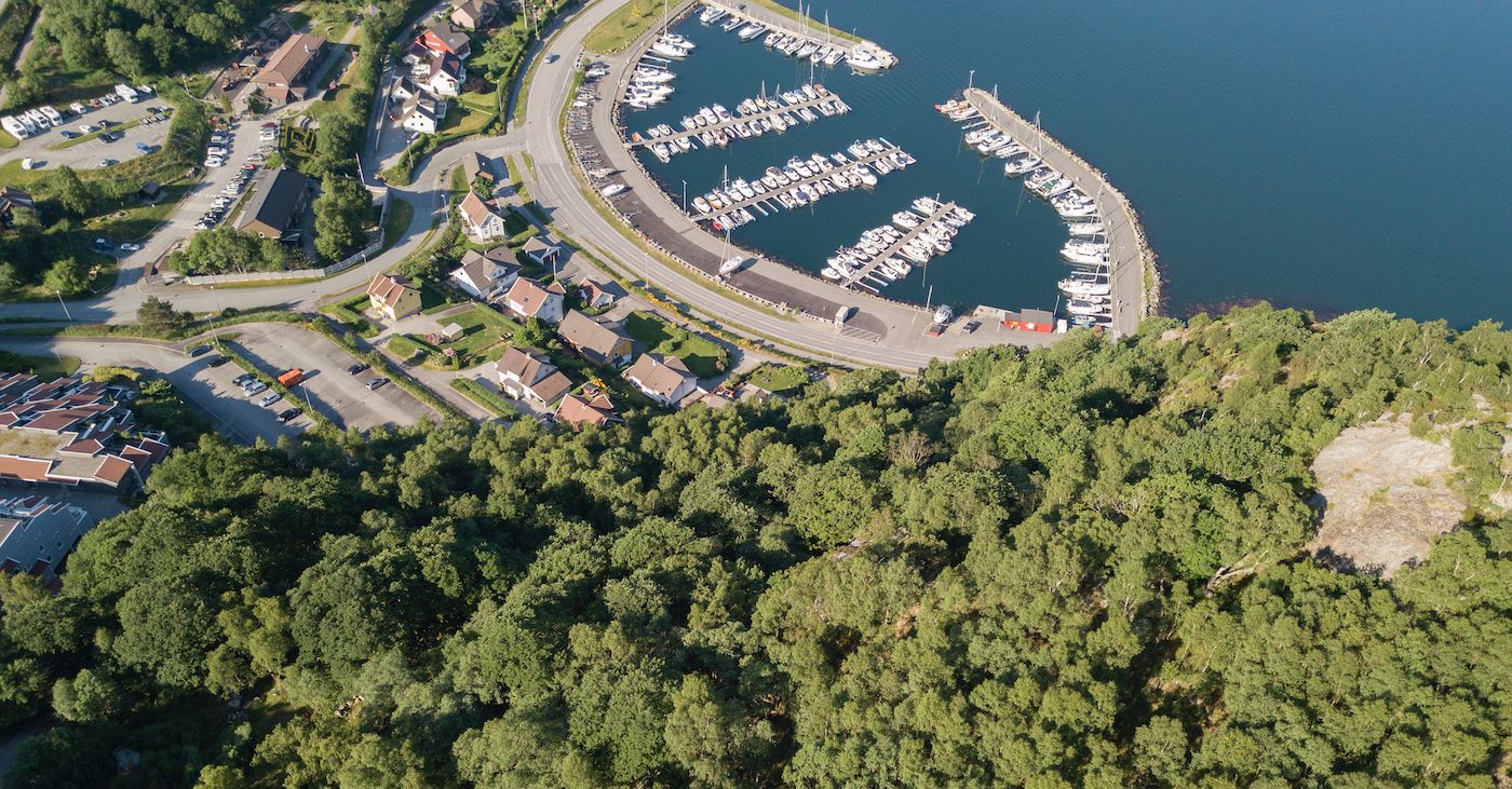 Skog og boliger i Sandvika