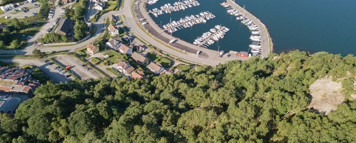 Skog og boliger i Sandvika