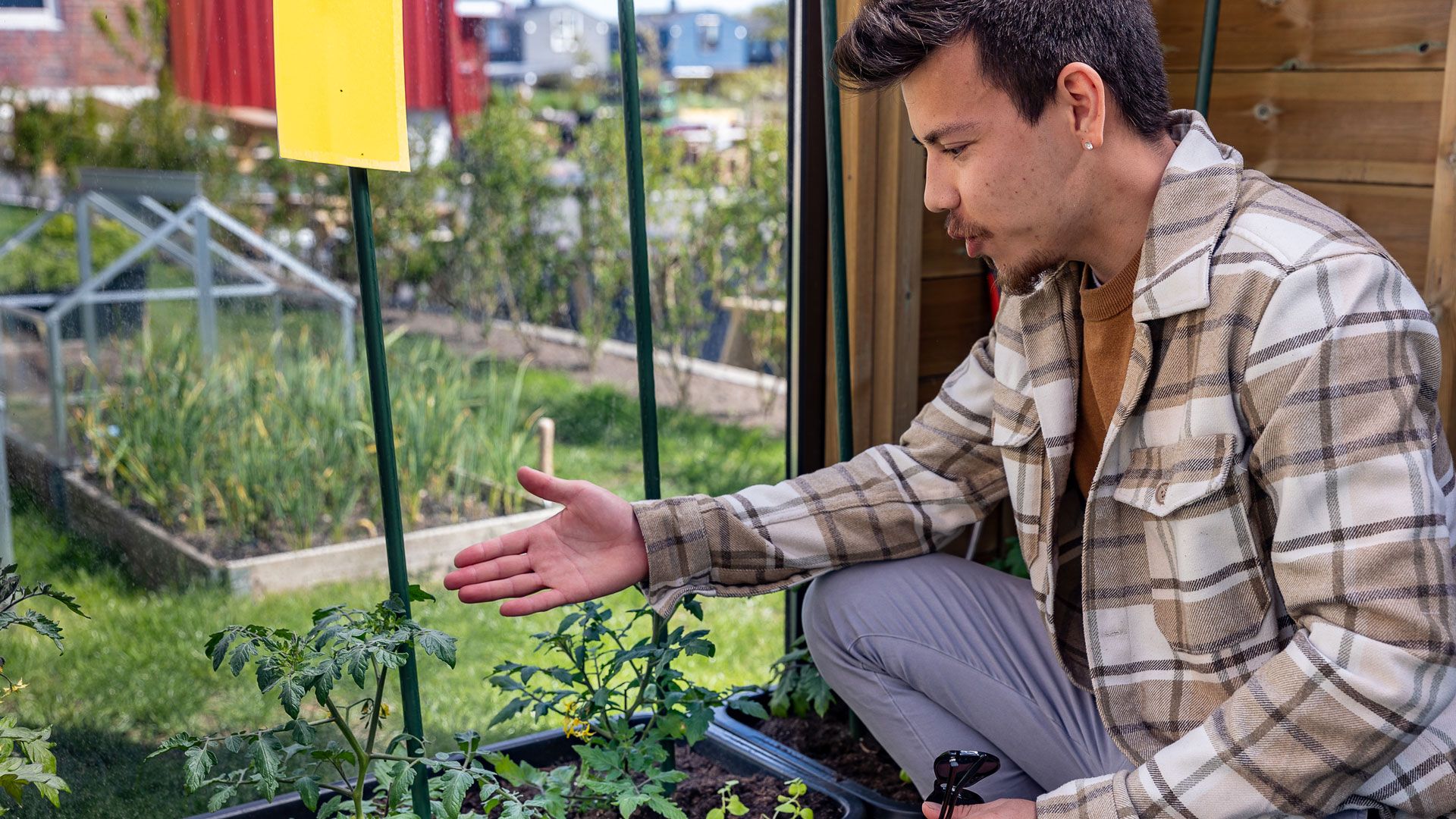 Dennis Asbjørnsen viser fram sin kjøkkenhage
