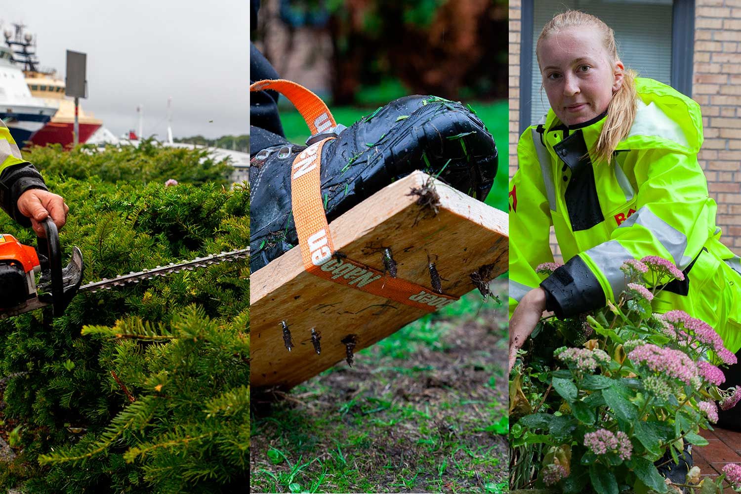 motorsag og vaktmester fra bate