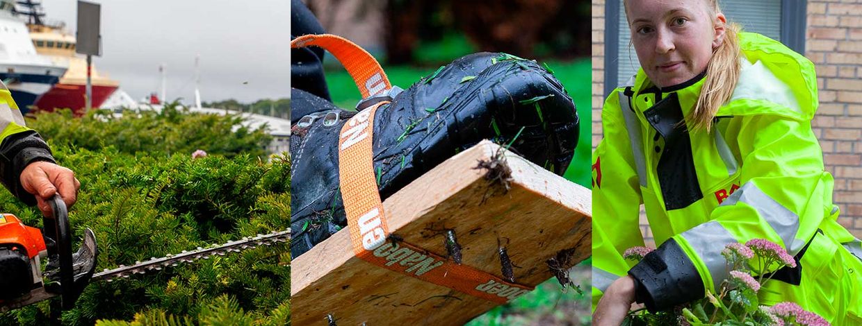 motorsag og vaktmester fra bate