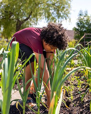 Gutt i jobber i hagen til Seehusens gate
