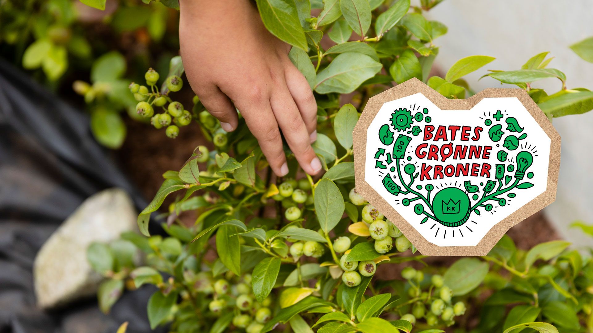 Bates grønne kroner