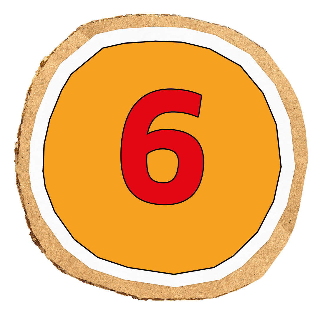 6