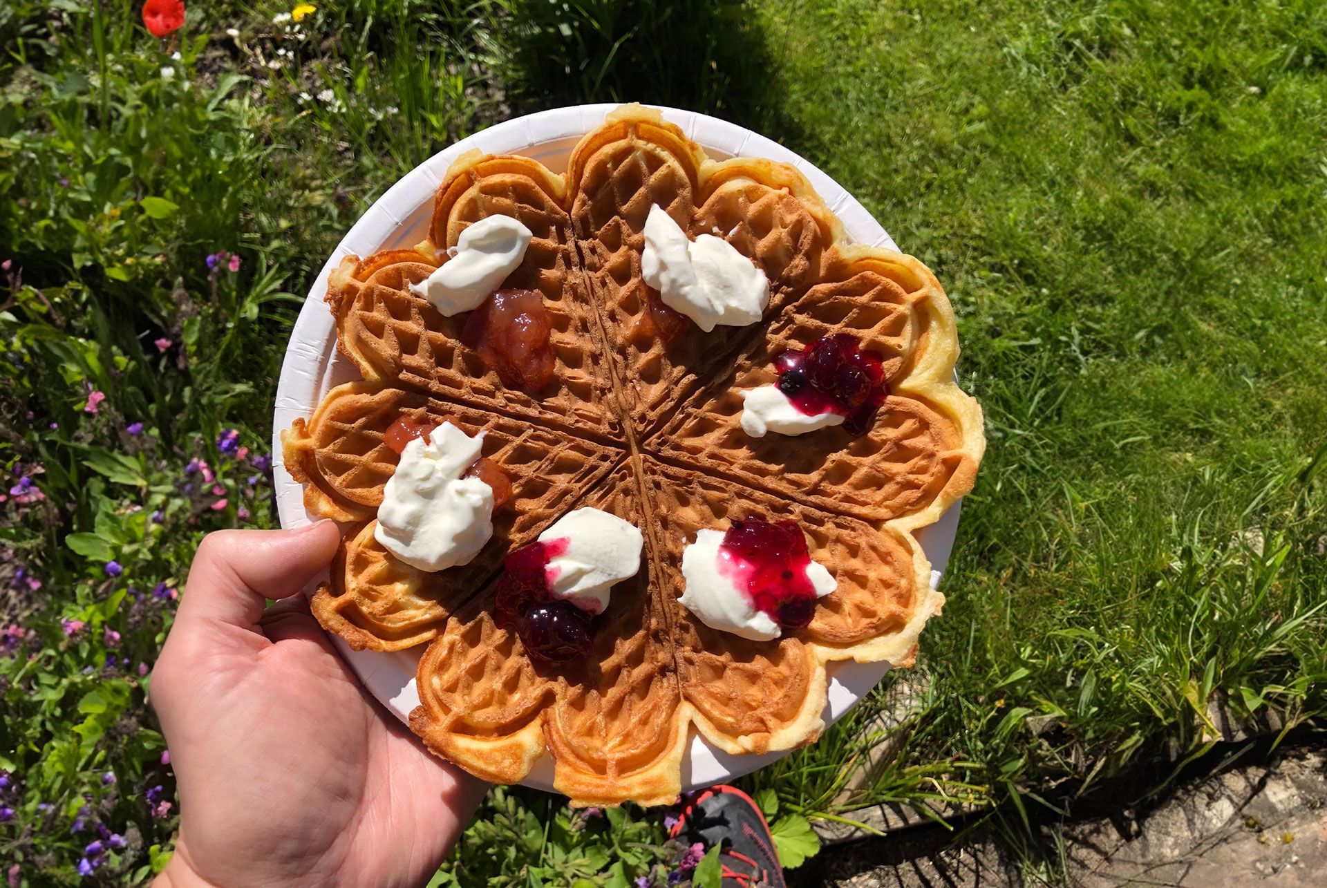 Vaffel fra Kolonihagen