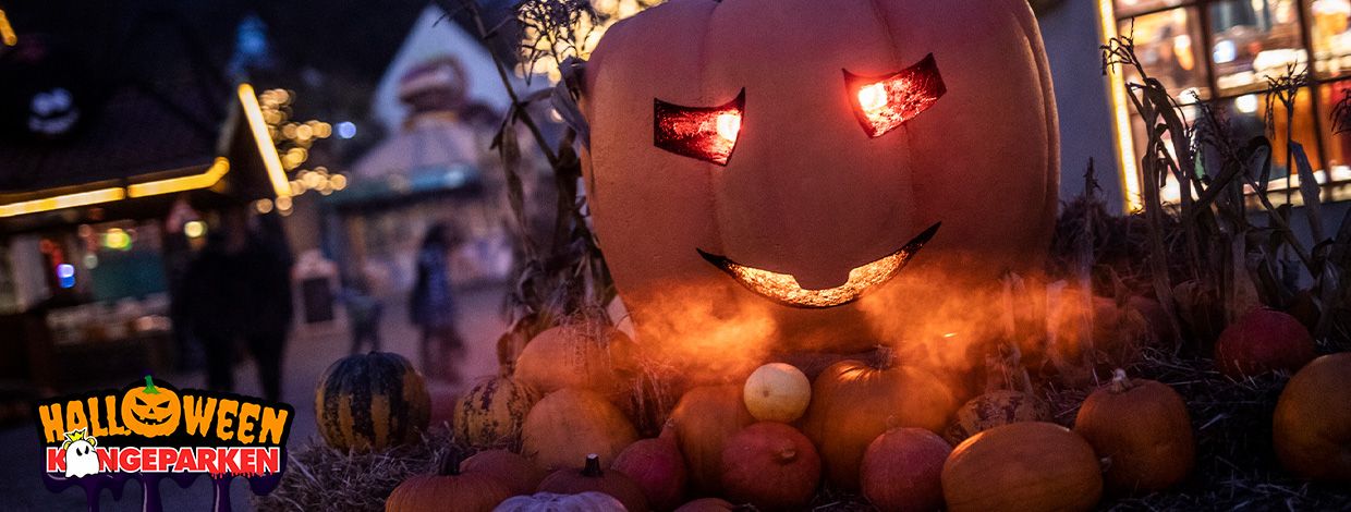 gresskar i mørket i kongeparken