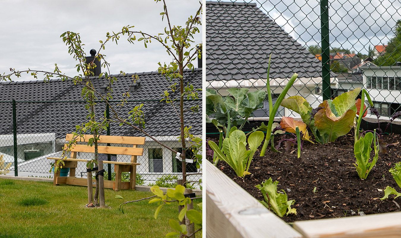 Benk og plantekasse i Høgevollsveien borettslag