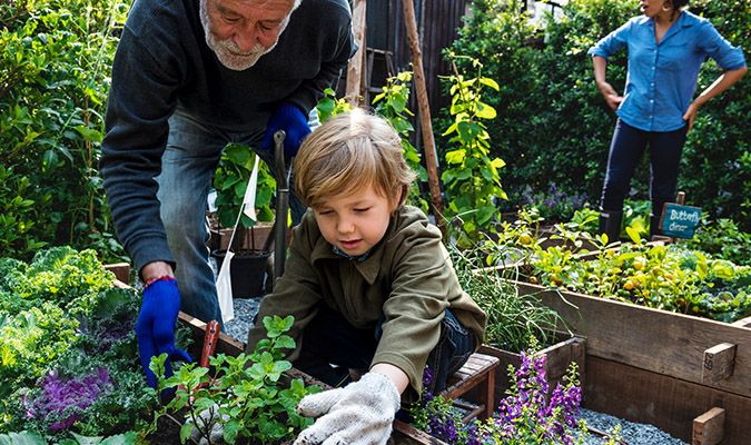 mann og barn i urtehage