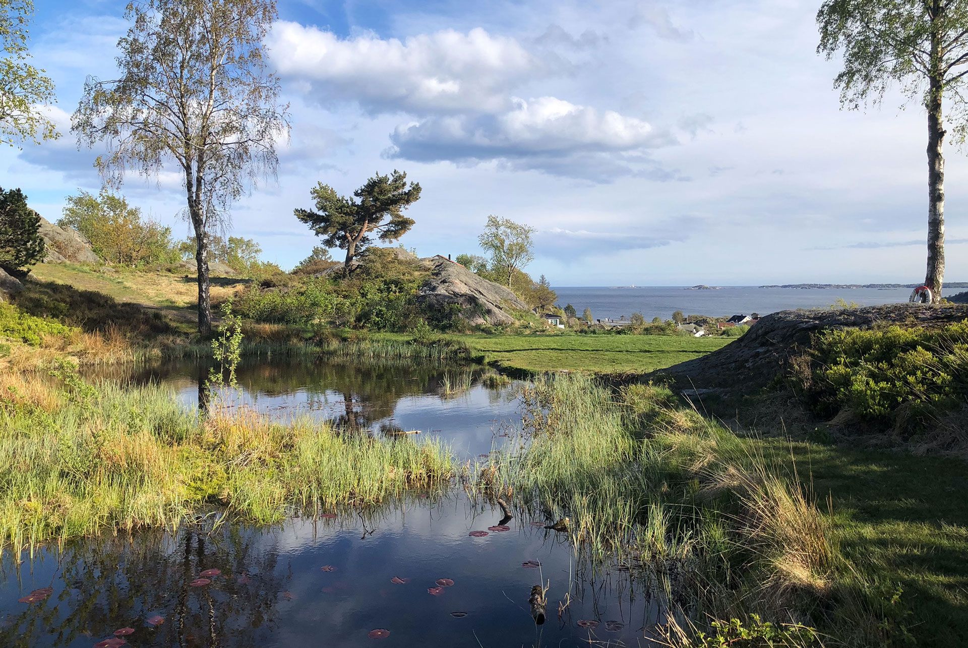 Tjønna på Hamreheia