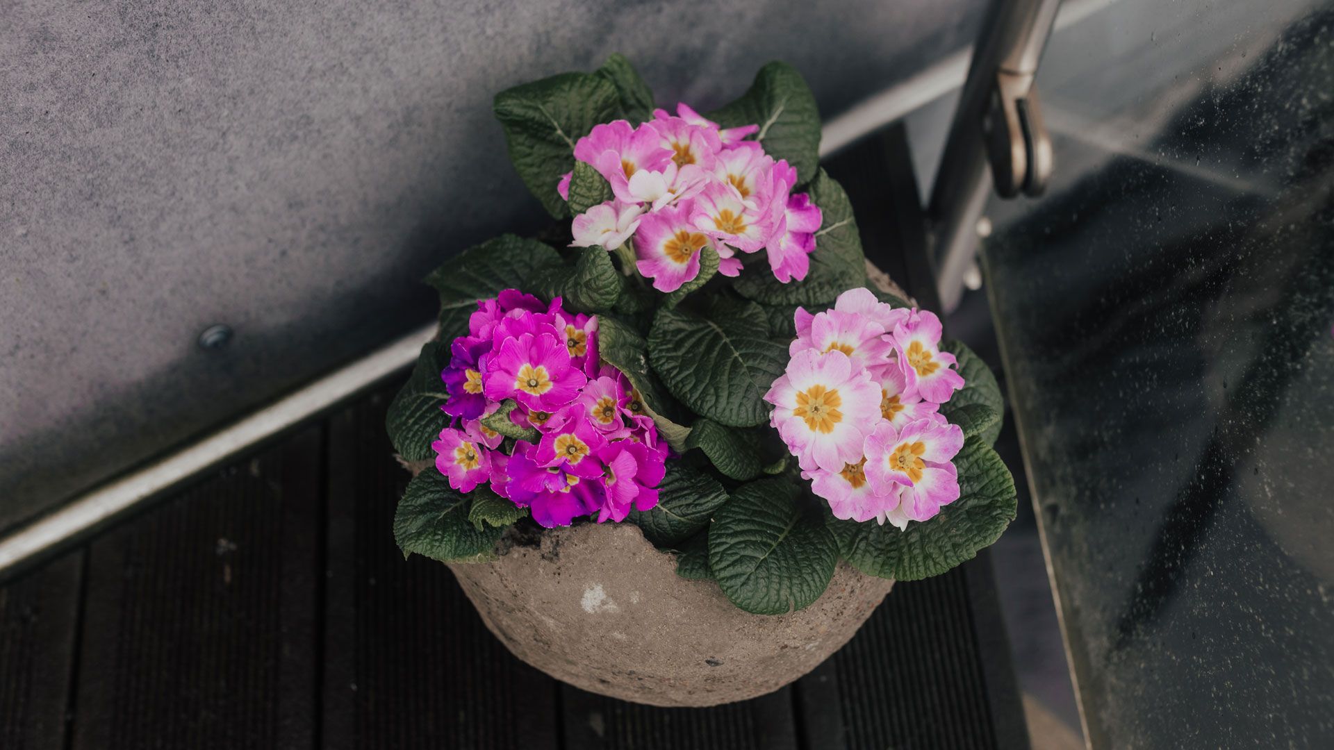 Hjemmelagd blomsterpotte med rosa blomster