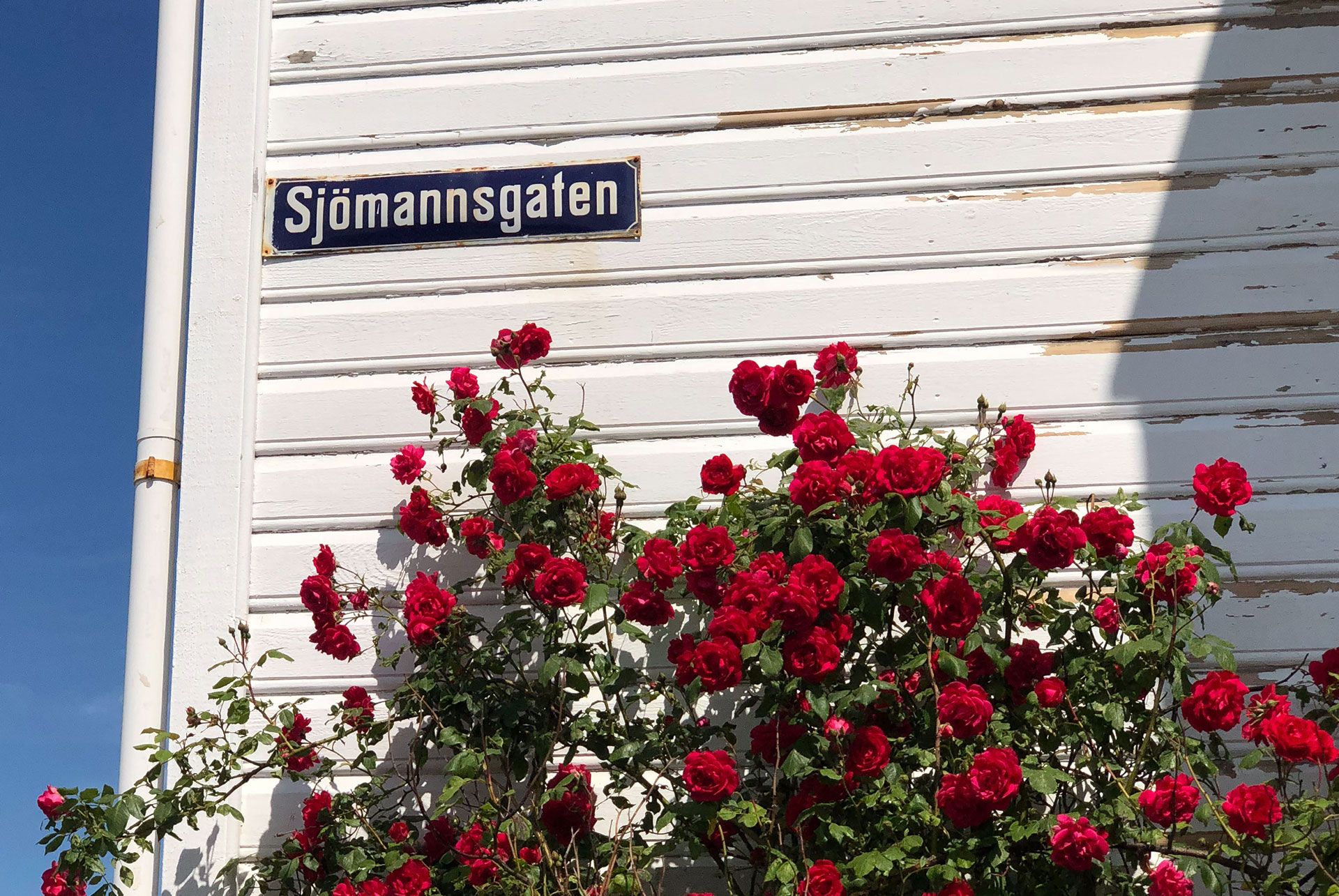 Sjømannsgaten