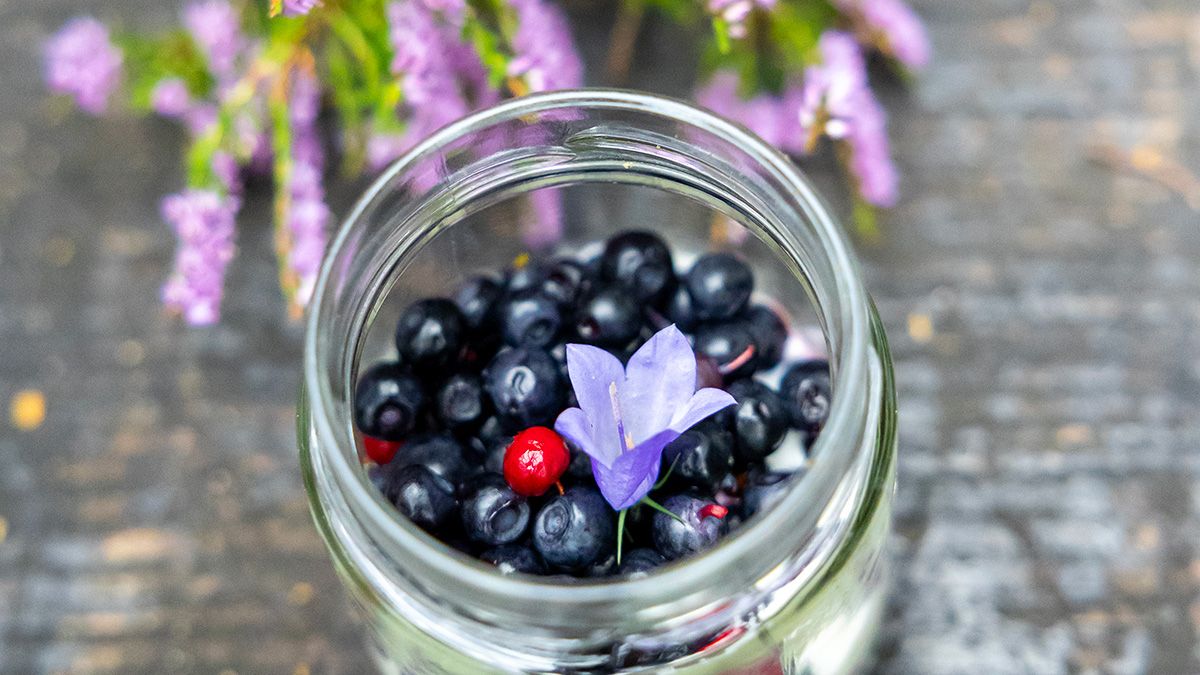 krukke med bær og planter